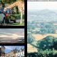 longleat.jpg